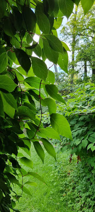 Gartenanlage Pałac i Folwark Galiny