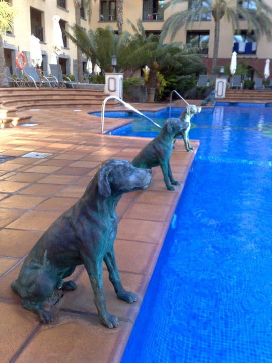 Hunde entlang am Pool Lopesan Costa Meloneras, Resort & Spa