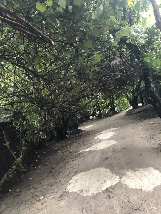 Gartenanlage Adaaran Select Meedhupparu Island Resort - Premium All Inclusive