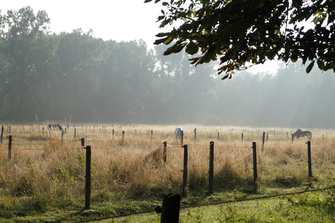 Gartenanlage Der Linslerhof - Hotel, Restaurant, Events & Natur
