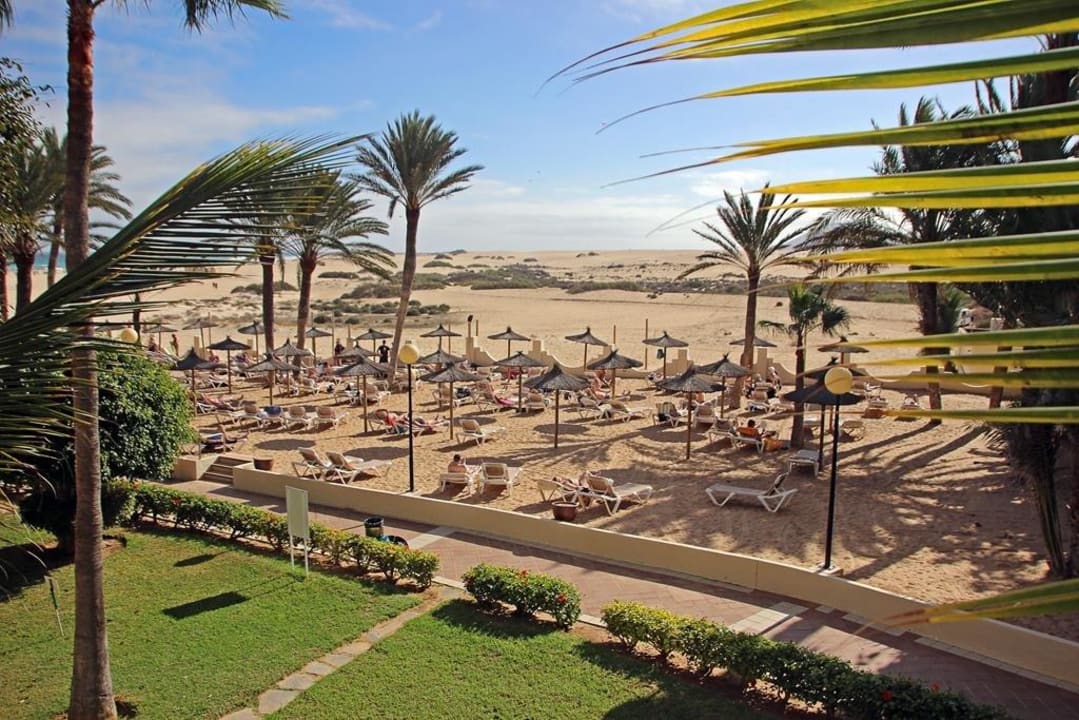 Sonnenliegen auf Dünensand Hotel Riu Oliva Beach - Hotel