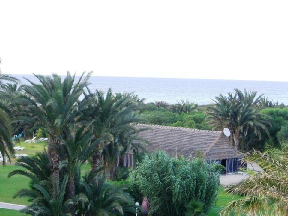 5-Blick aus 228 Calimera One Resort Jockey