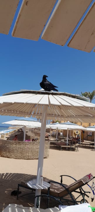 Strand Jaz Grand Marsa