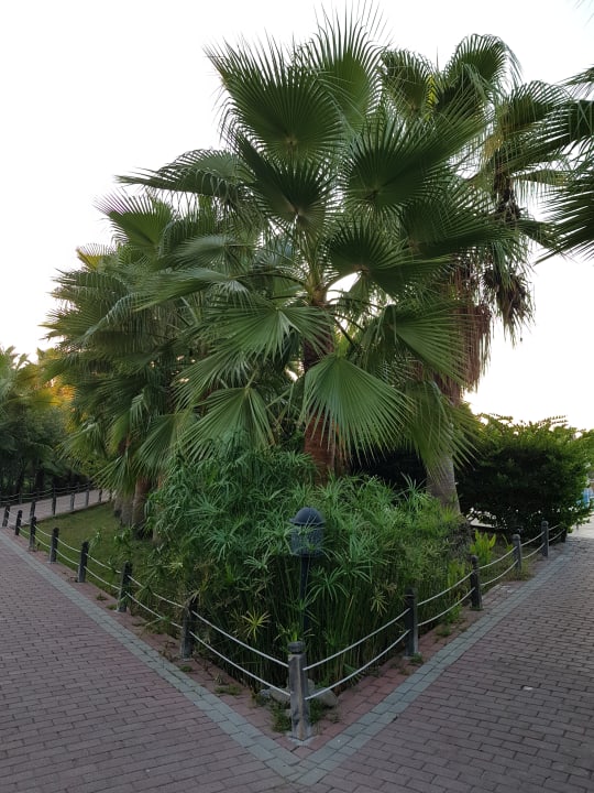 Gartenanlage Seaden Sea World Resort & Spa