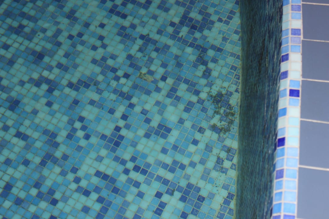 Black Mold in Pool Memories Flamenco Beach Resort