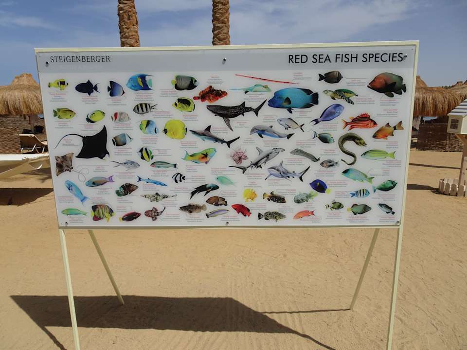 Strand Steigenberger Coraya Beach - Adults only