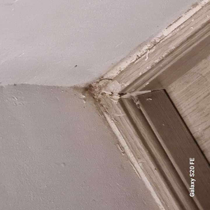 Zimmer BelleVue Club