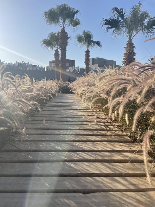 Gartenanlage Sunrise Tucana Resort - Grand Select