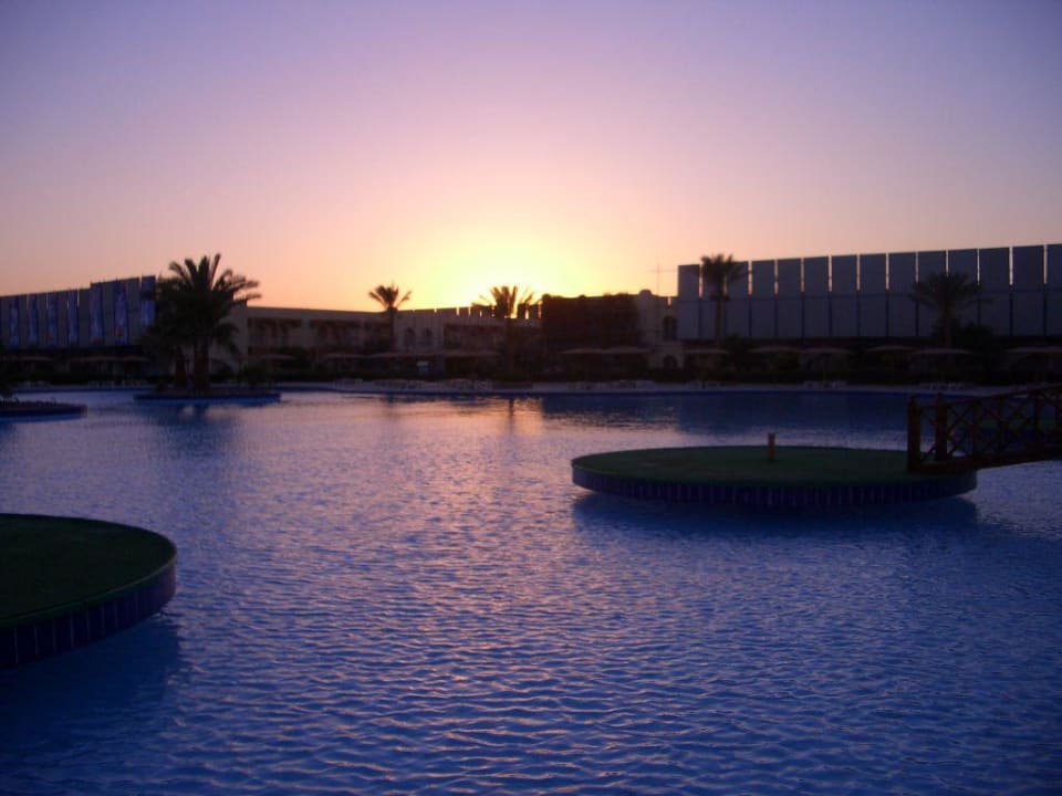 Sonnenuntergang am Pool. Desert Rose