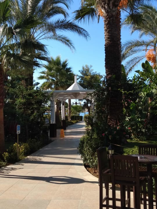 Garten Crystal Family Comfort Collection