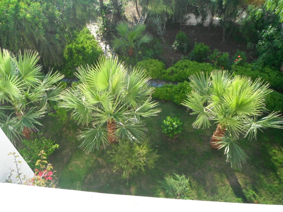 Salmakis Salmakis Resort & Spa