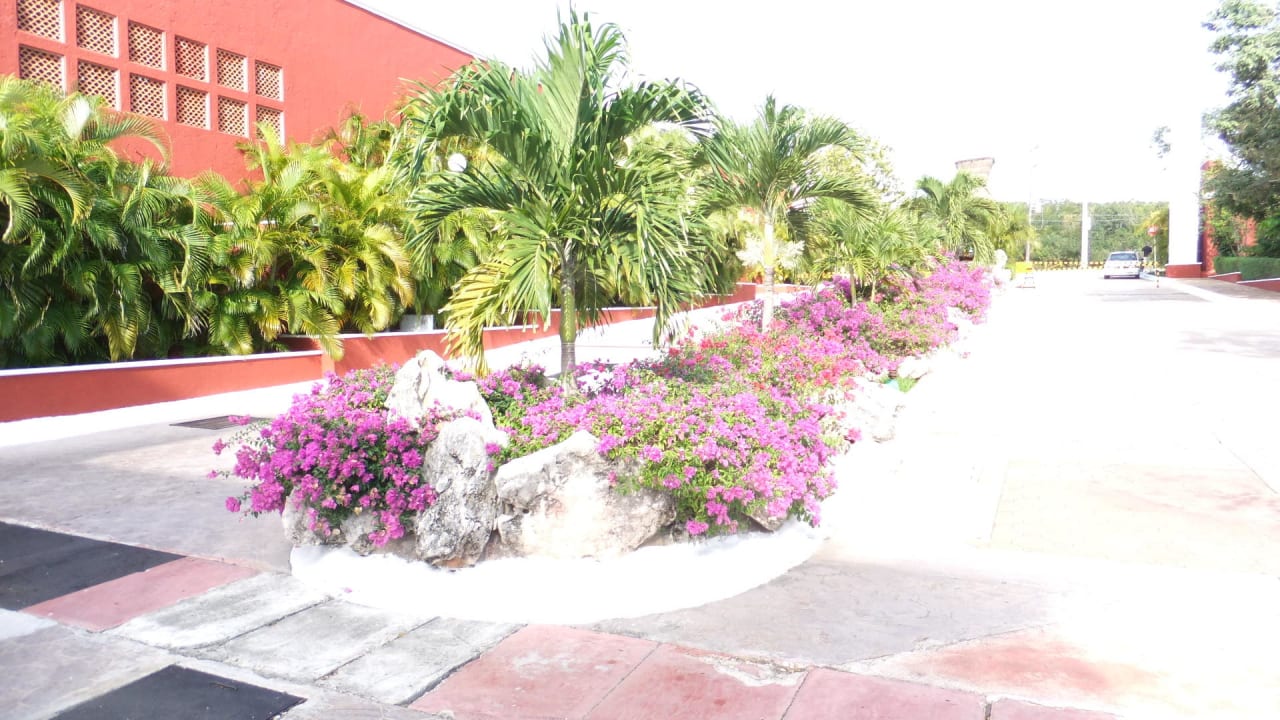 Hoteleinfahrt Catalonia Royal Tulum Beach & Spa Resort - Adults only