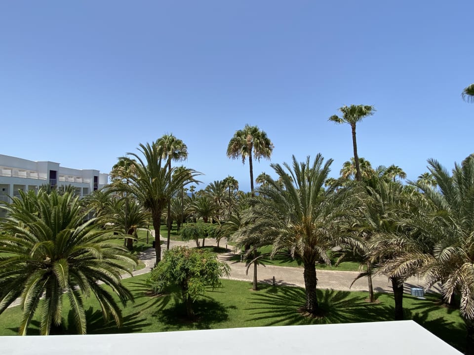 Gartenanlage Hotel Riu Gran Canaria
