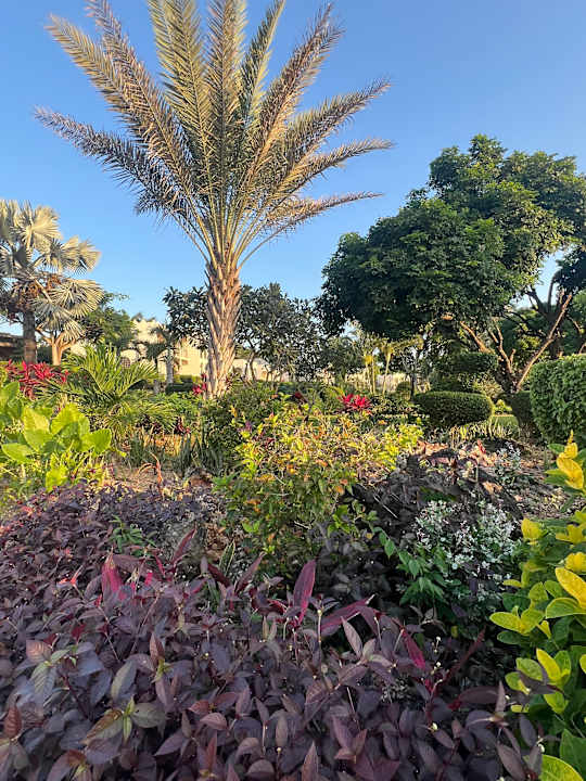 Gartenanlage Hotel Riu Palace Zanzibar