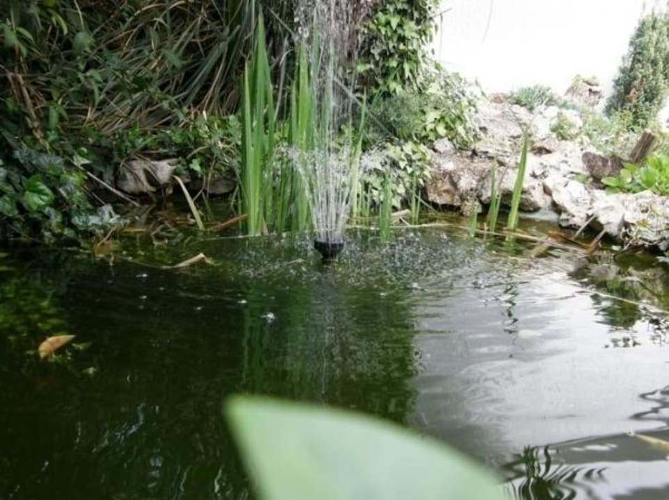 Garden Apartments Bracic