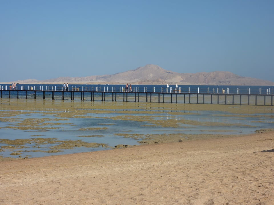 Steg  Rixos Sharm El Sheikh Adults Only 18 +