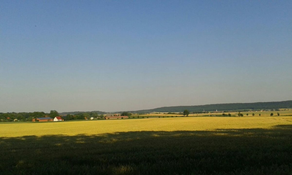 Ausblick Winzer-Bauernhof Felbinger