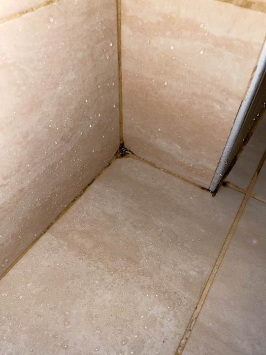 Zimmer Dizalya Palm Garden