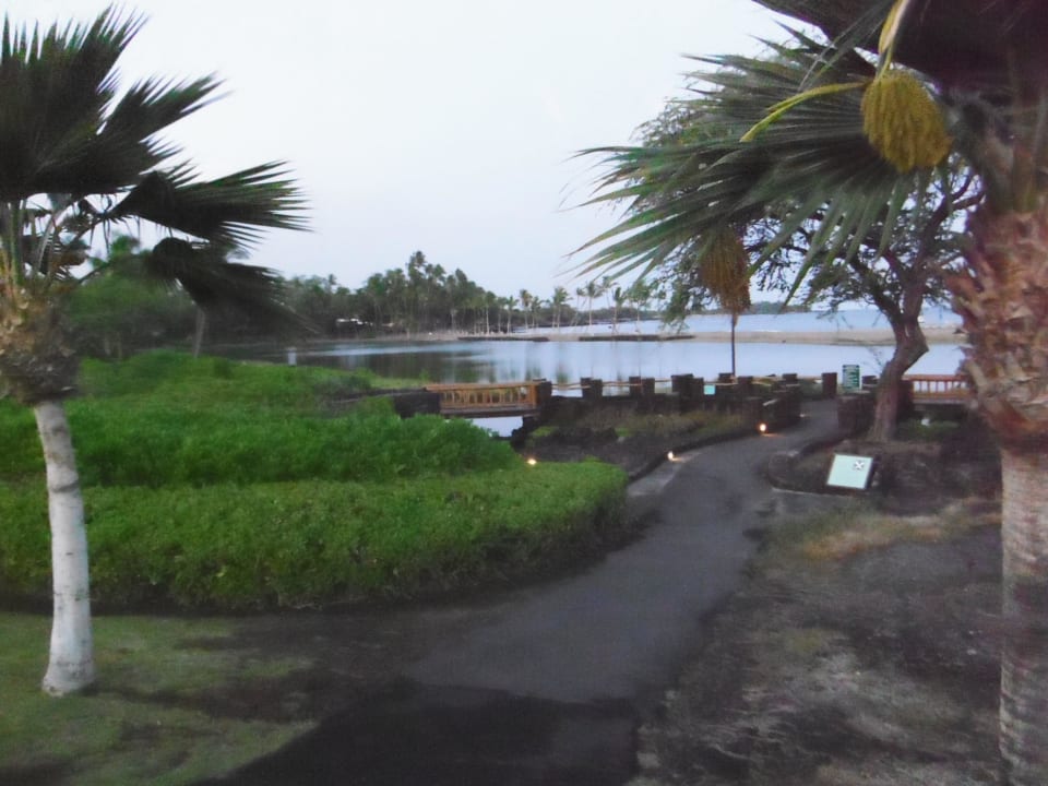 Giardino e laguna Hotel Waikoloa Beach Marriott