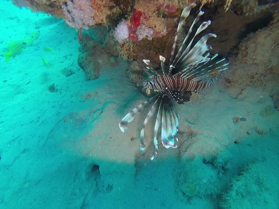 Sport & Freizeit Mövenpick Resort El Quseir