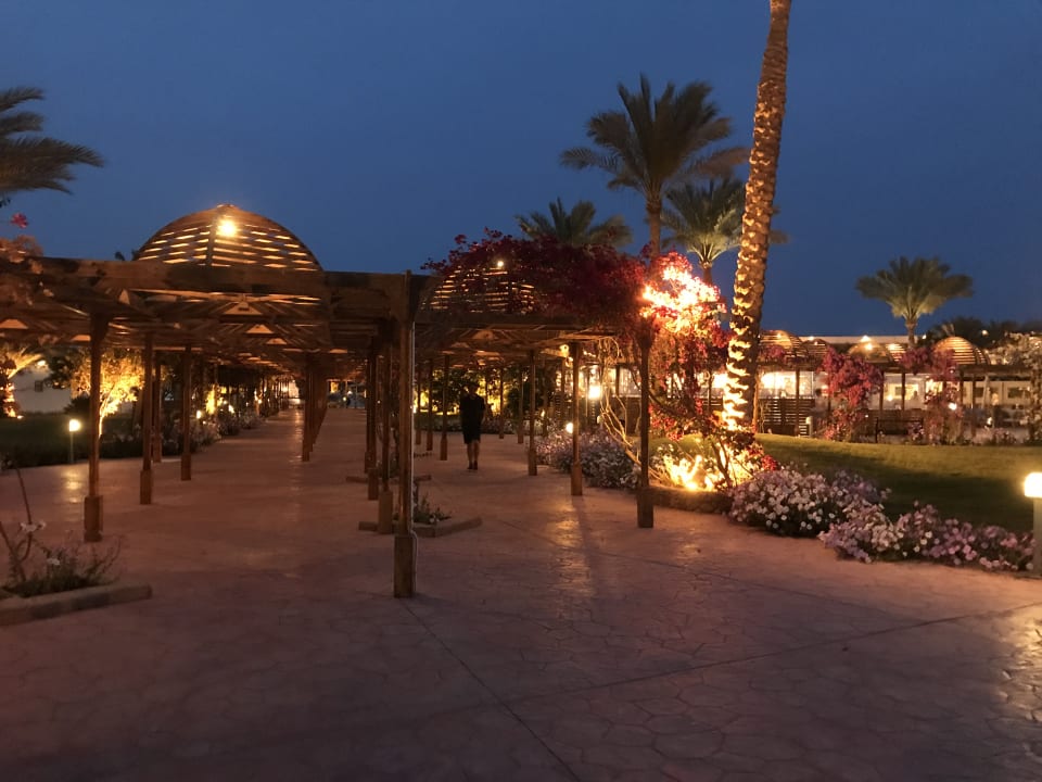 Gartenanlage Desert Rose