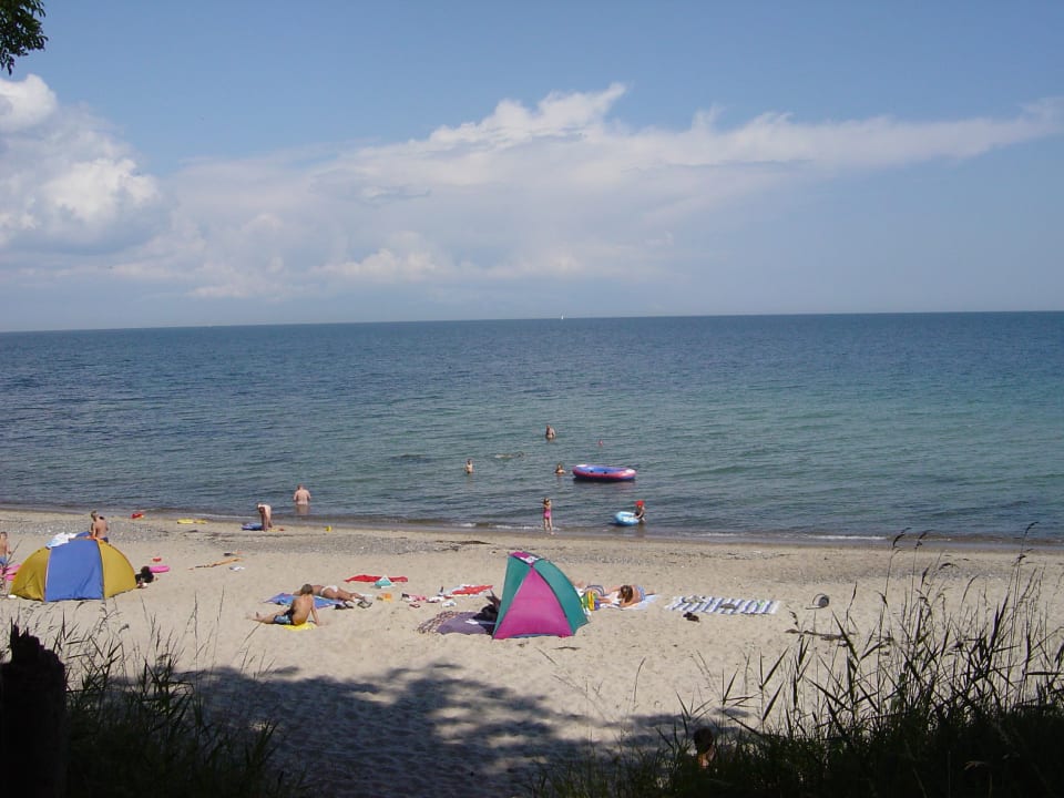 Strand Ferienbauernhof Liesenberg mit Meerblick