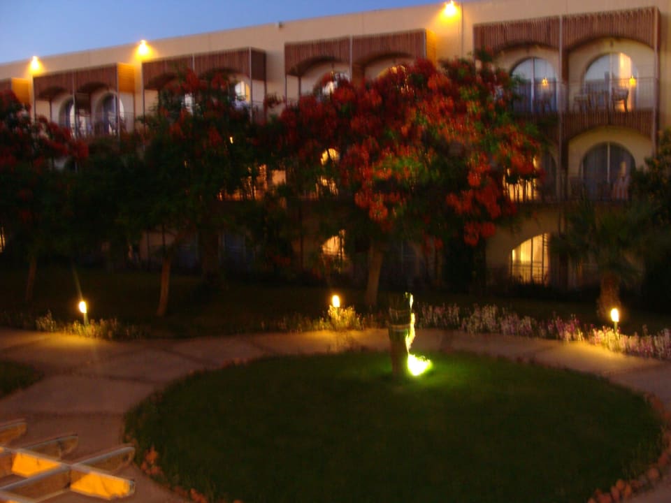 Widok z naszego balkonu Desert Rose