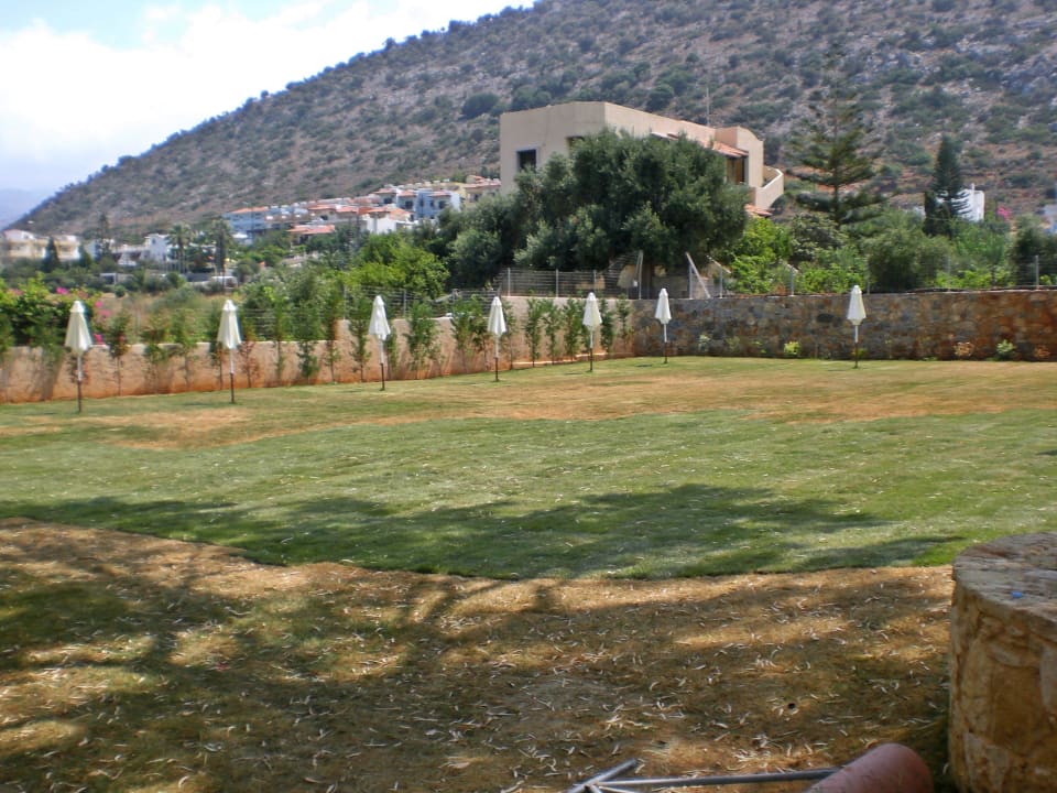 Die ,,Rasenänderung" ist abgeschlossen! Cactus Royal