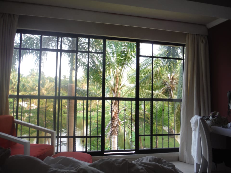 Guten Morgen  Villas Bavaro Resort & Spa