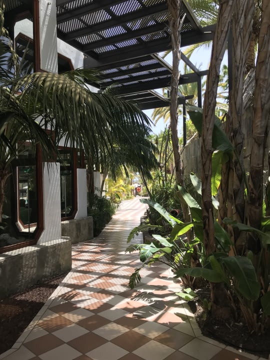 Gartenanlage Corallium Beach by Lopesan Hotels - Adults only