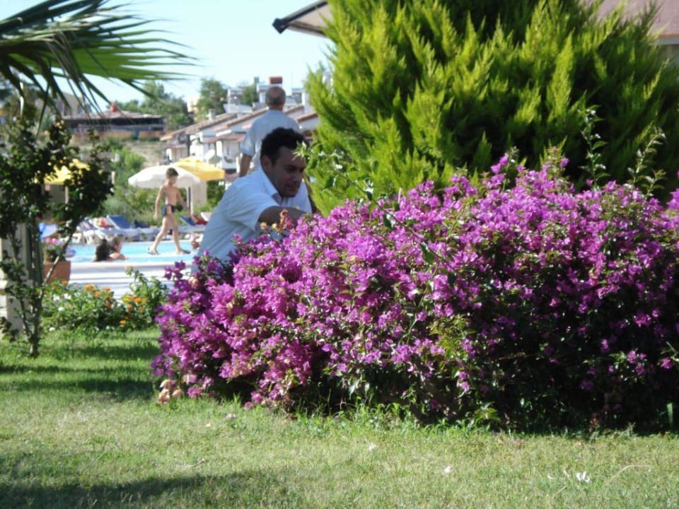 Kellner (Bi...) Pup Royal Atlantis Beach Hotel