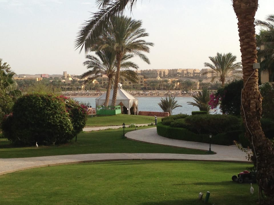 Aussicht auf die Bucht Steigenberger Coraya Beach - Adults only