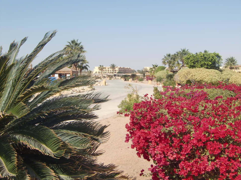 Garten Hotel Sheraton Soma Bay Resort