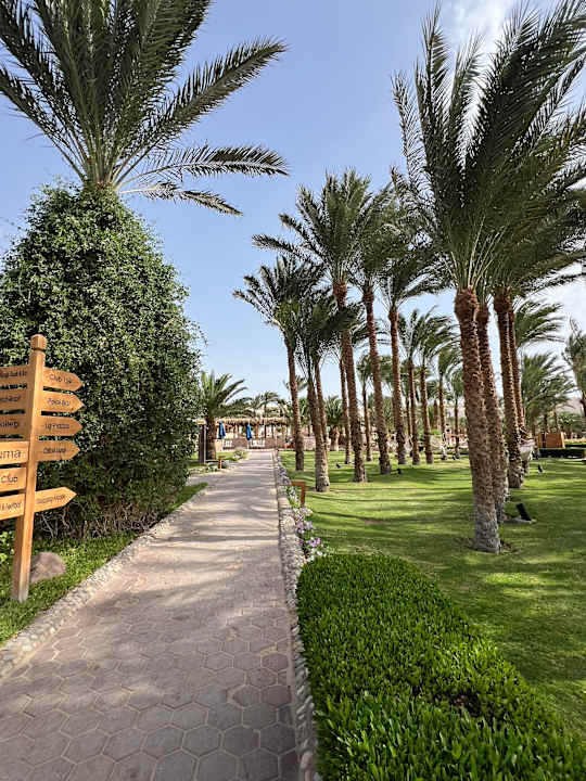 Gartenanlage Fort Arabesque Resort, Spa & Villas