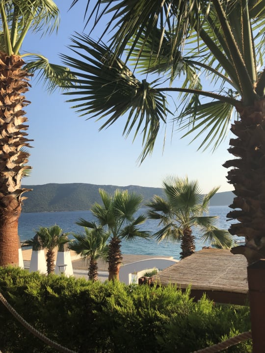 Ausblick TUI MAGIC LIFE Bodrum - Adult Only (16+)