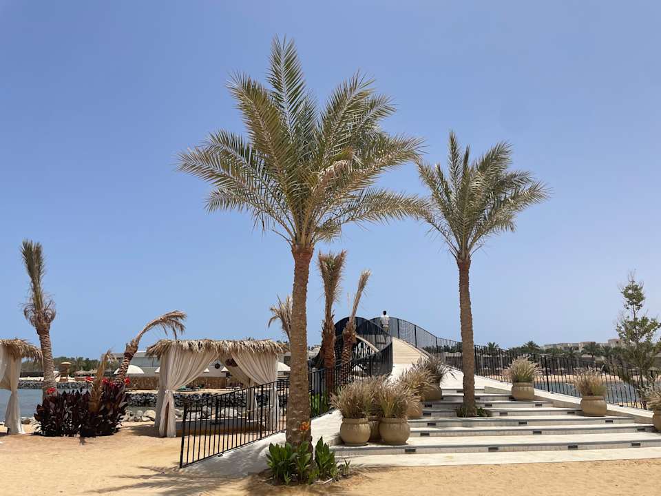 Außenansicht Desert Rose