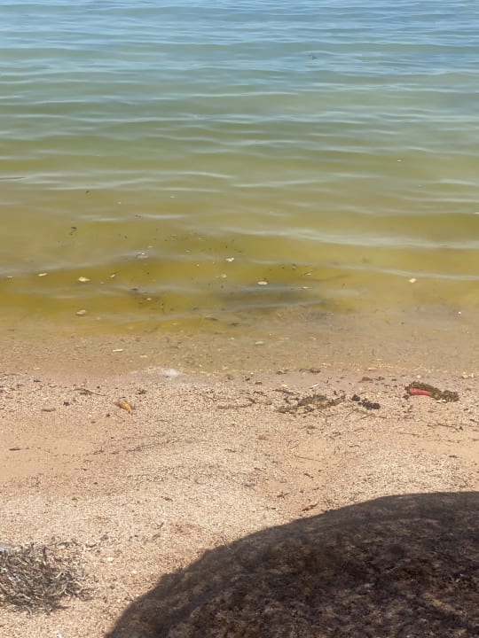 Strand Royal Star Beach Resort