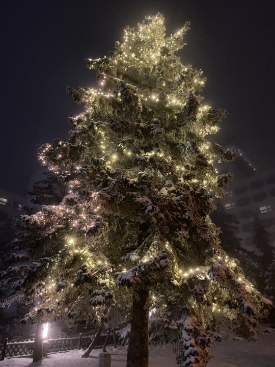 Außenansicht AHORN Berghotel Friedrichroda