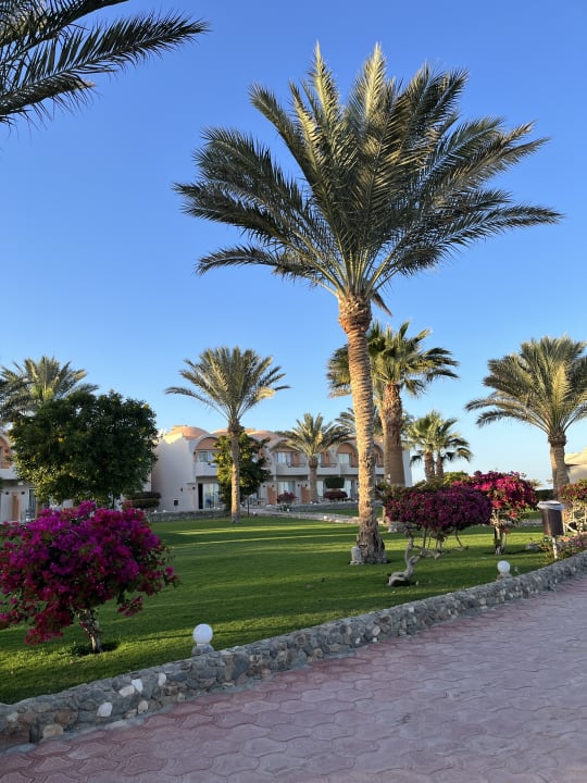 Gartenanlage Three Corners Sea Beach Resort