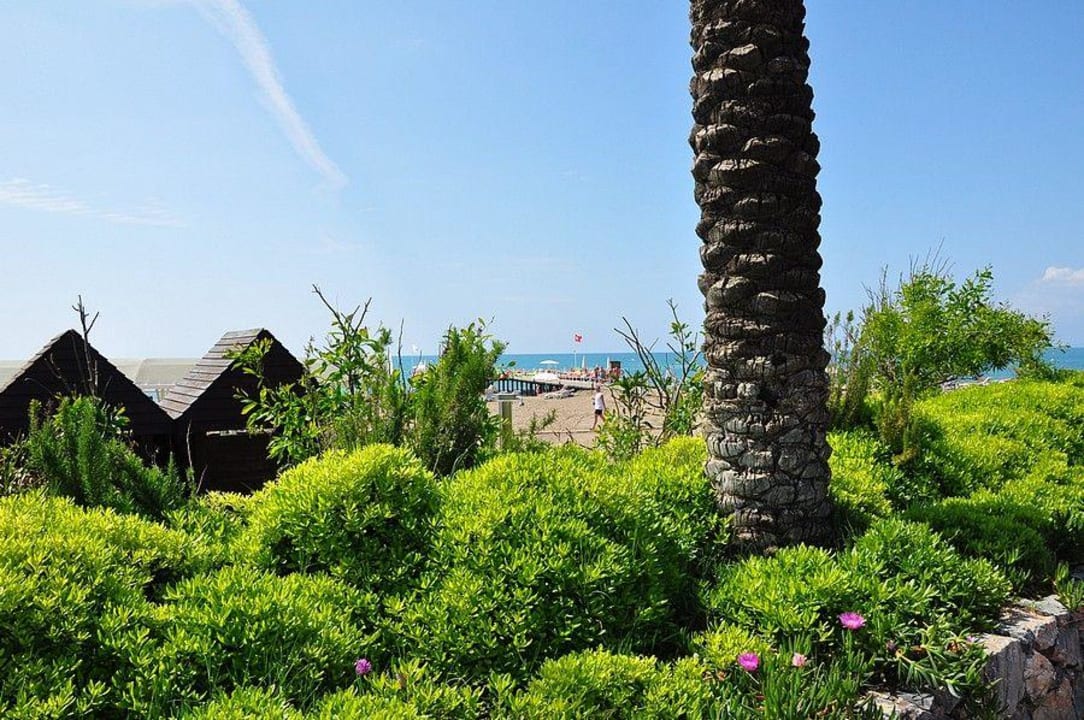 Ogród Hotel Miracle Resort