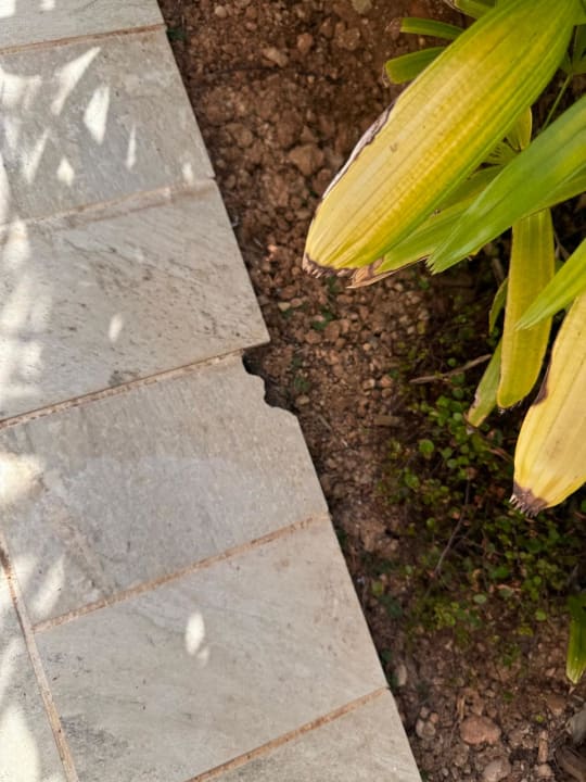 Gartenanlage Zafiro Palace Andratx