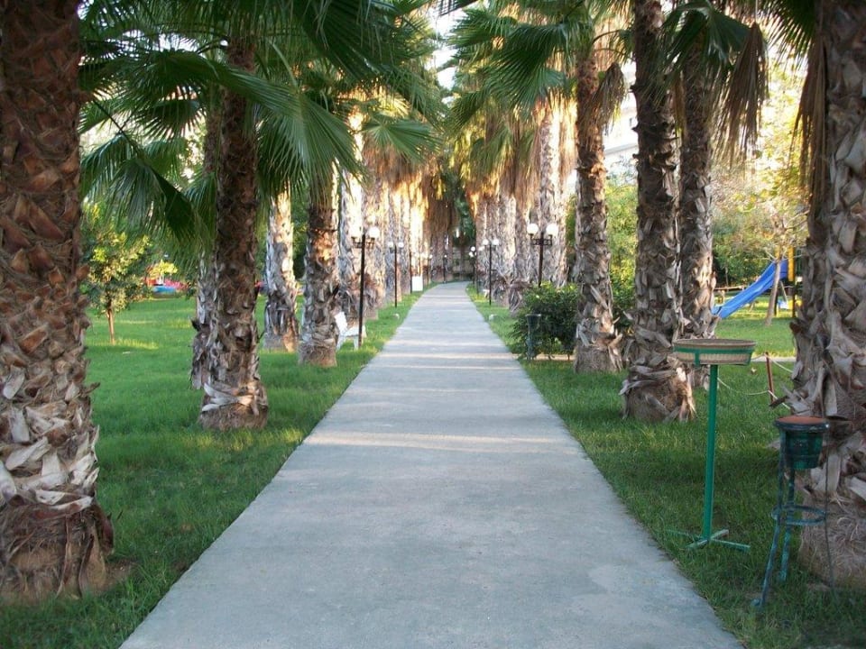 Palmenallee Hotel Gardenia Beach