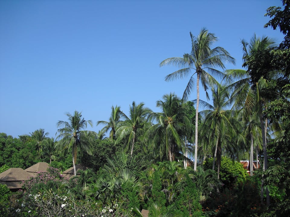 Unser Blick vom Balkon The Fair House Beach Resort
