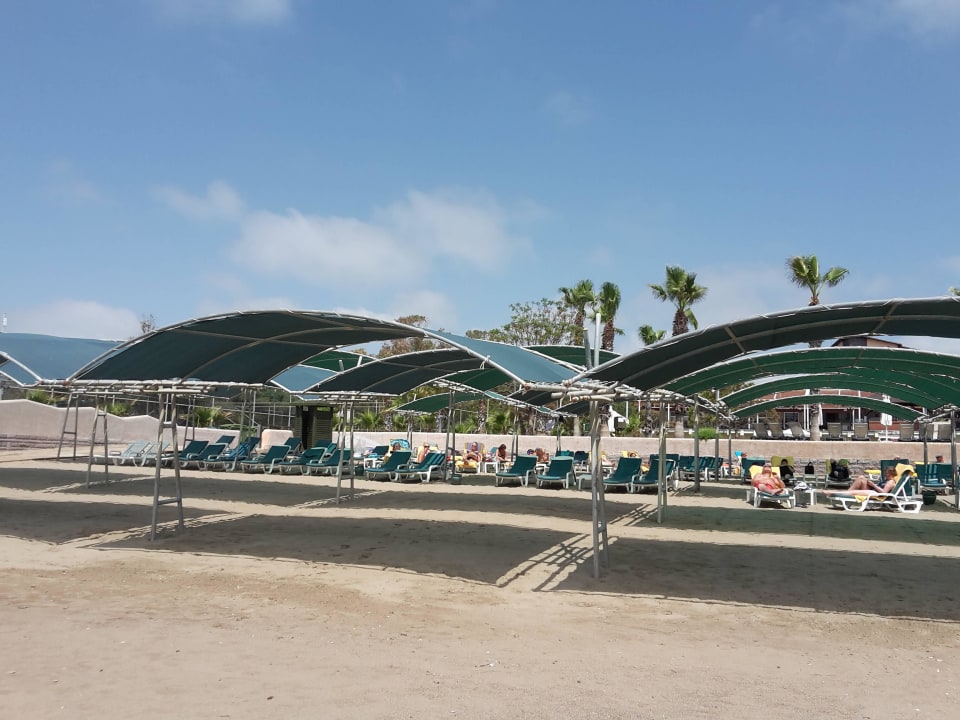 Strand  Papillon Belvil