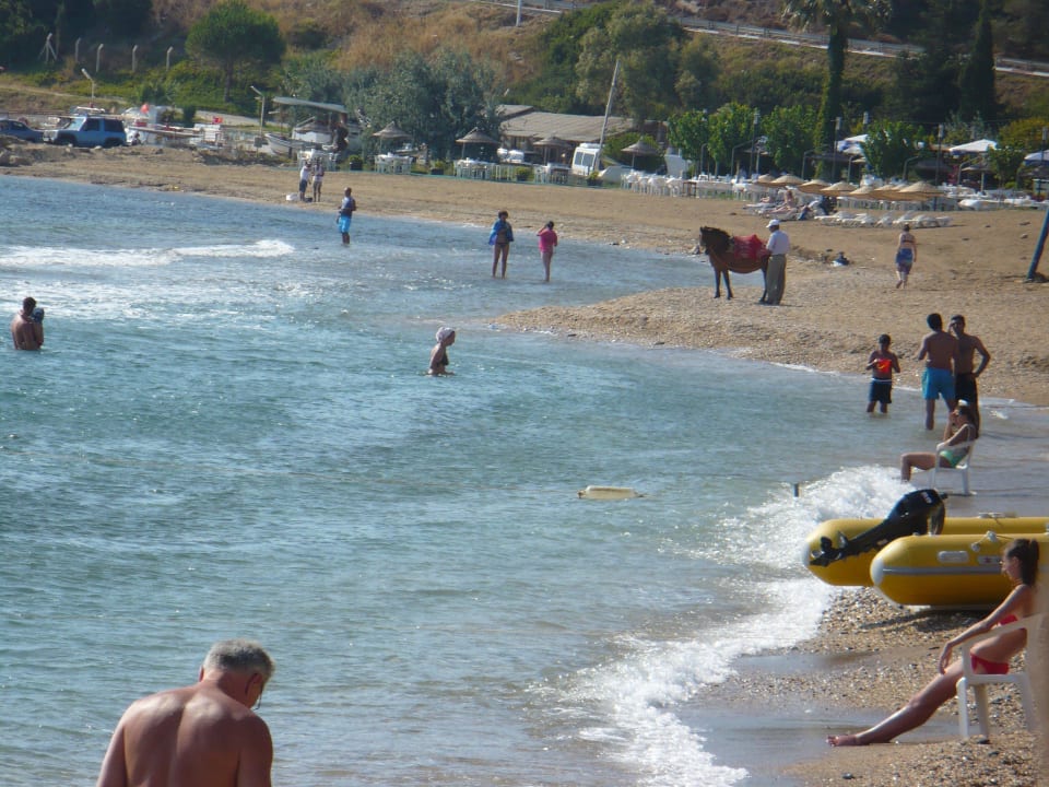 Hotel Grand Efe Hotel Grand Efe