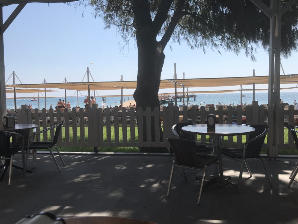 Ausblick Hotel Thalia Unique