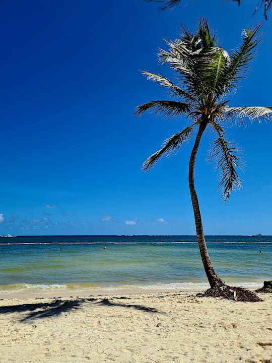 Strand Dreams Flora Resort & Spa - All Inclusive