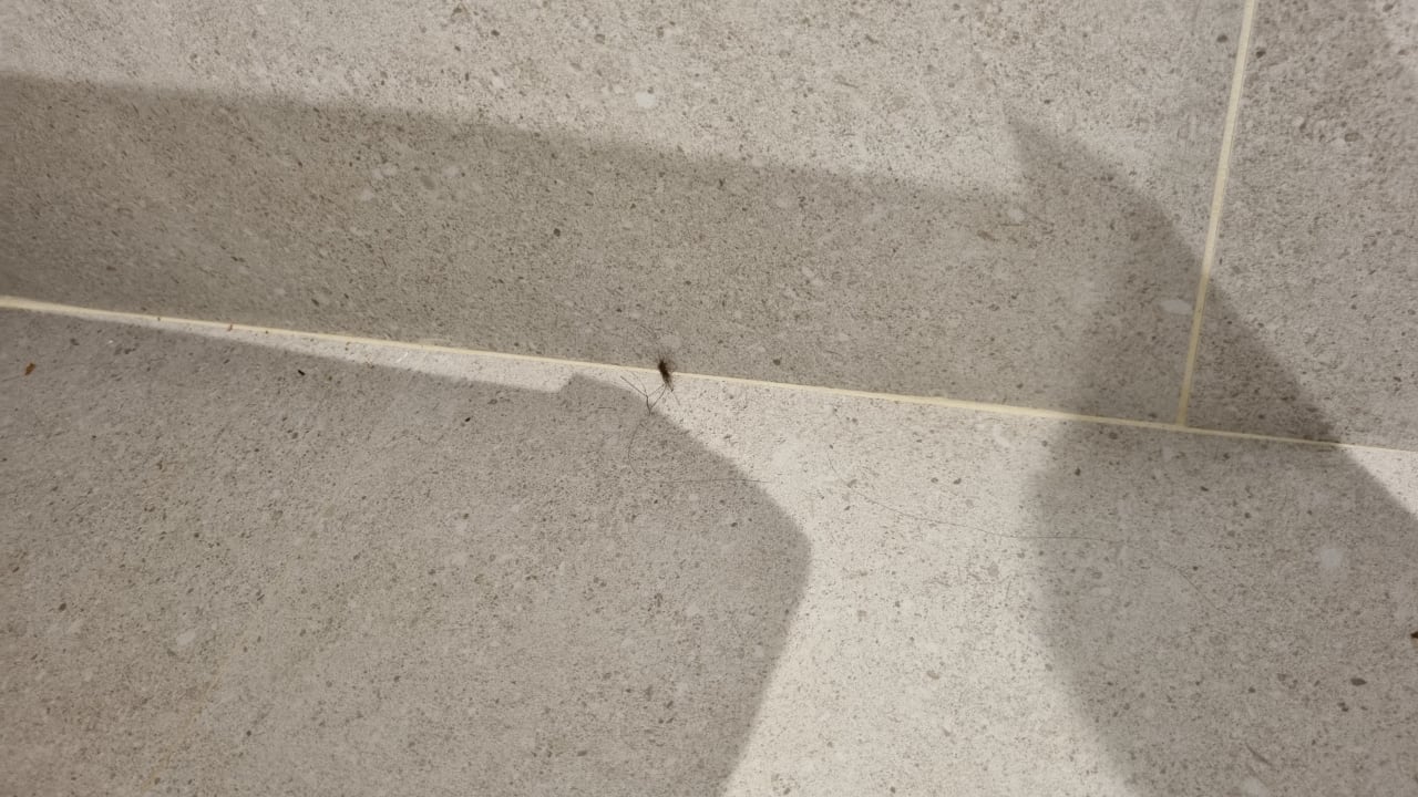 Zimmer R2 Lago Playa Park