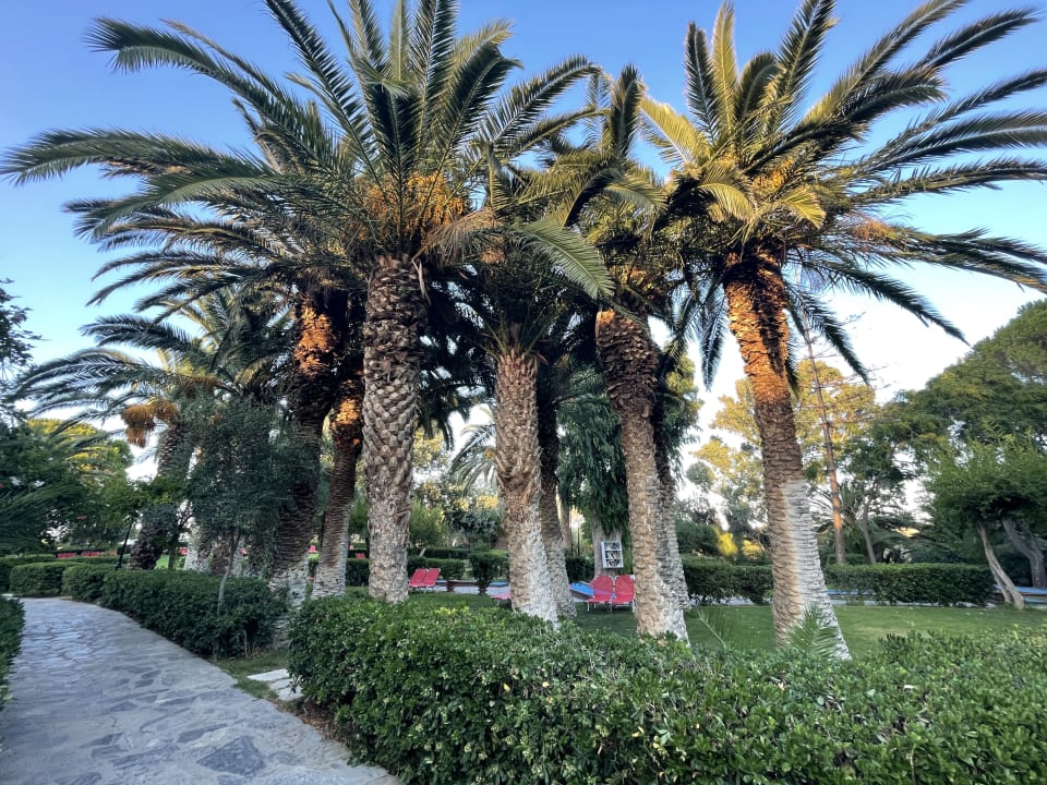 Gartenanlage Apollonia Beach Resort & Spa