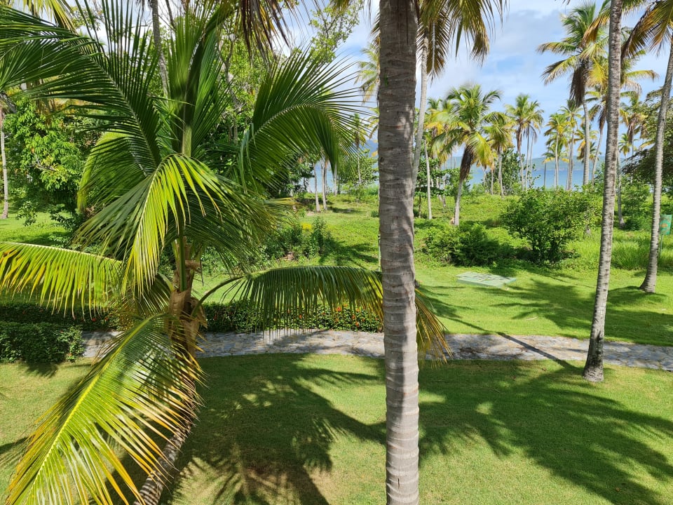 Gartenanlage Wyndham Alltra Samana